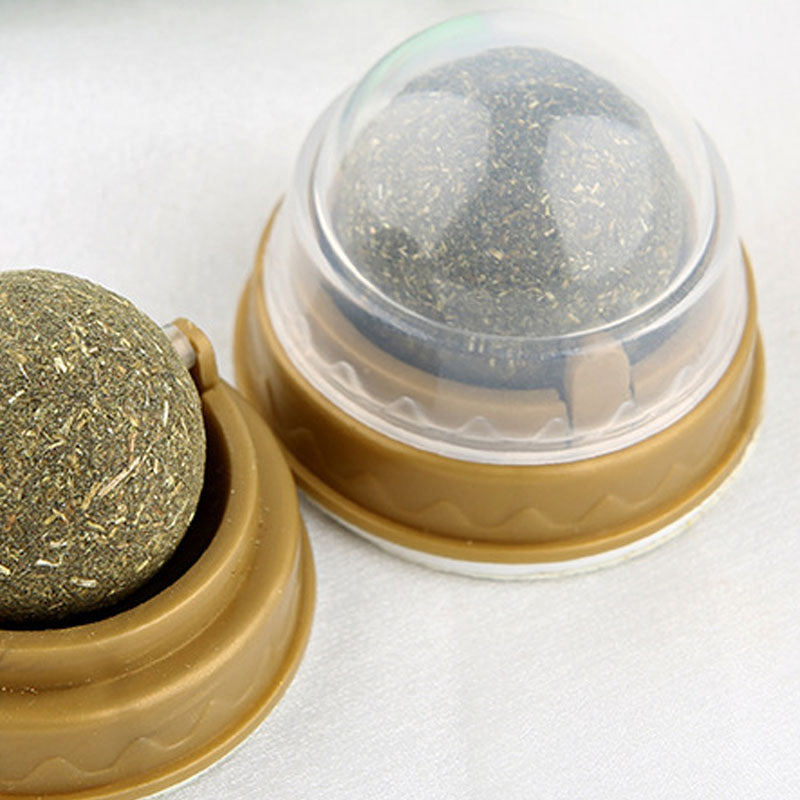 Rotating Catnip Molar Ball