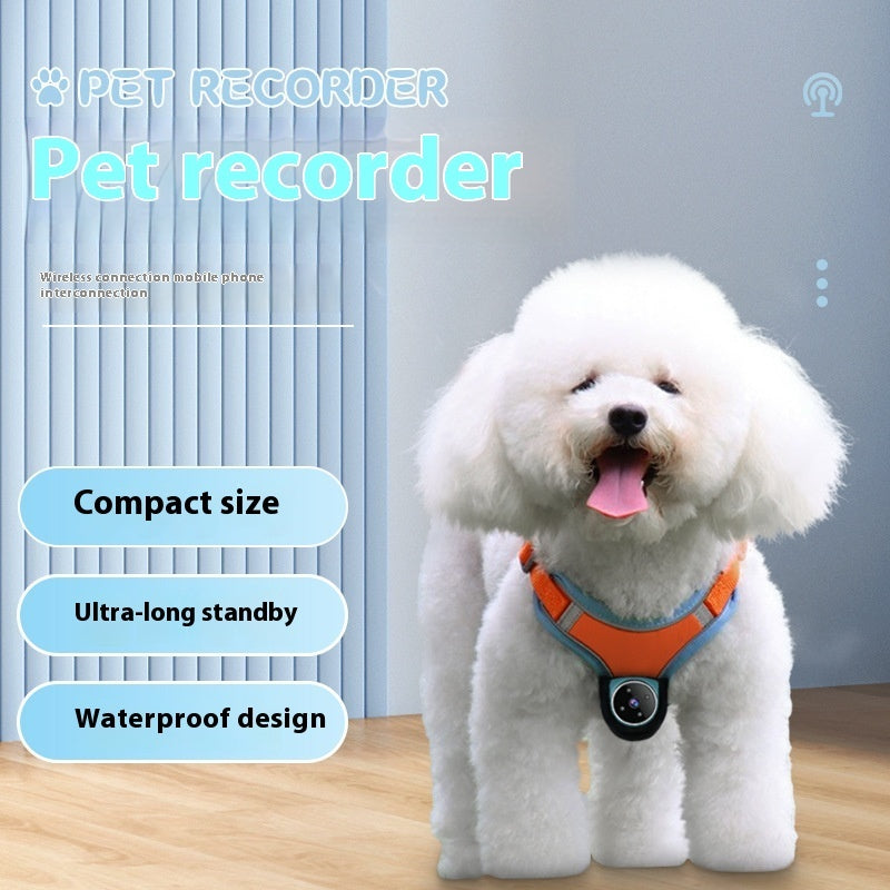 Pet Camera Action Collar