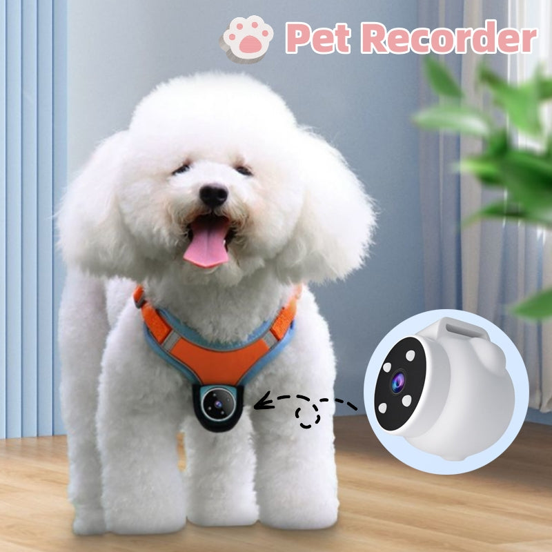 Pet Camera Action Collar